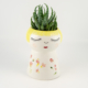 Cousin Vera Root