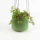 Small Ceramic Hanging Pot - Fern