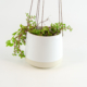 Small Ceramic Hanging Pot-White Matt