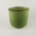 Orchid Pot 20 Fern