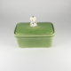 Butter Dish Dog Fern