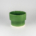 Ivy Pot Small - Fern