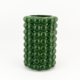 Nobby Vase Fern