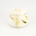 Kiki Sugar Pot Foliage