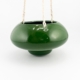 Protea Hanging Pot Fern